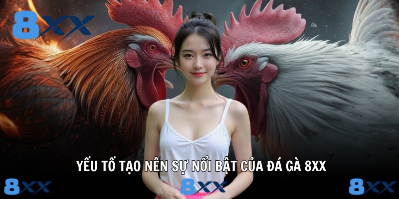 Yếu tố tạo nên sự nổi bật của đá gà 8XX
