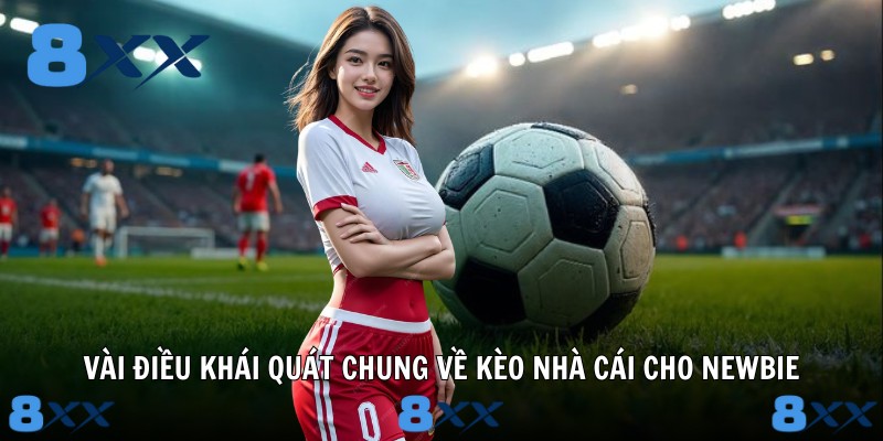 Vài điều khái quát chung về kèo nhà cái cho newbie