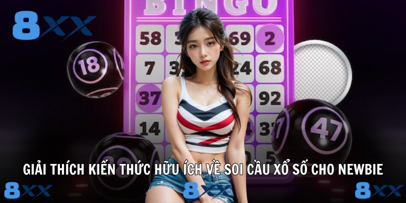 Giải thích kiến thức hữu ích về soi cầu xổ số cho newbie